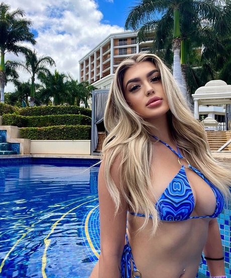 Jelly beannn star top img