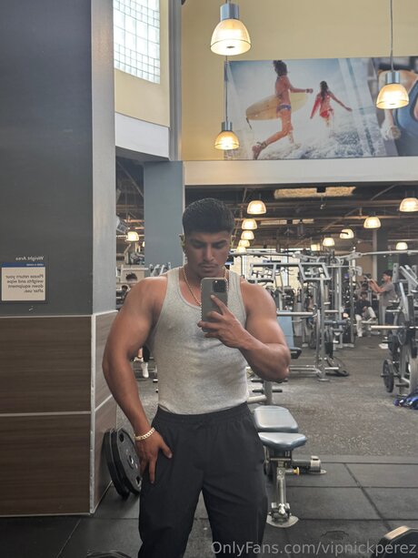 Vipnickperez perfect actress archive