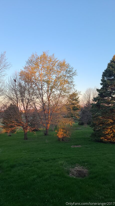 Loneranger2017 erotic star galleries