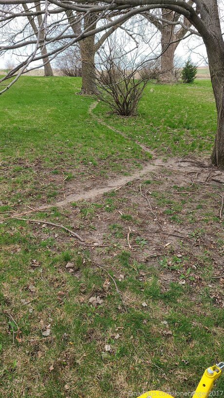 Loneranger2017 beautiful star gallery