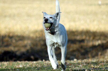 Loneranger2017 star porn pictures