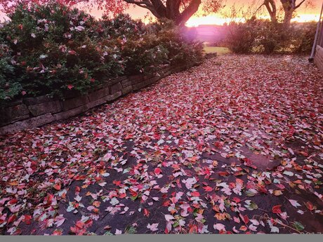 Loneranger2017 model nudes archive