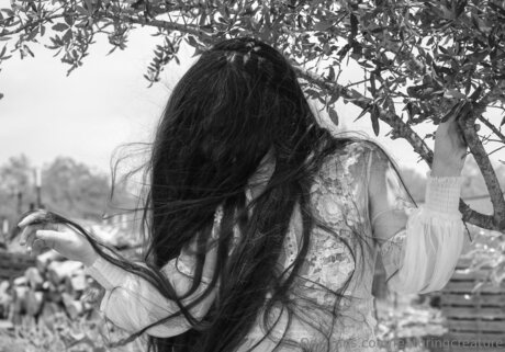 Featuringcreature beautiful star pics