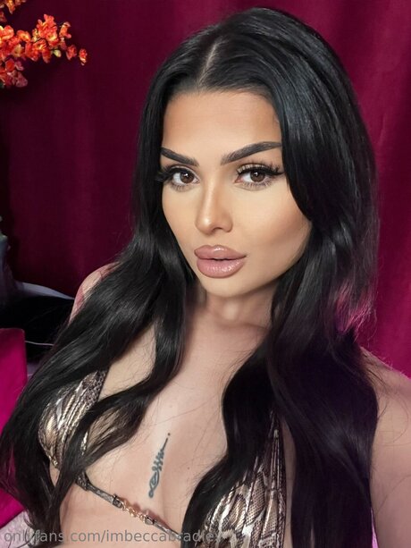 Imbeccabradley nudes pornstar photos