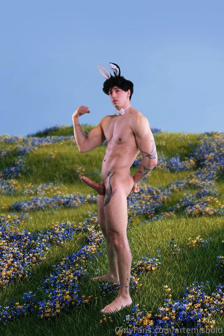 Artemisbold star nudes picture