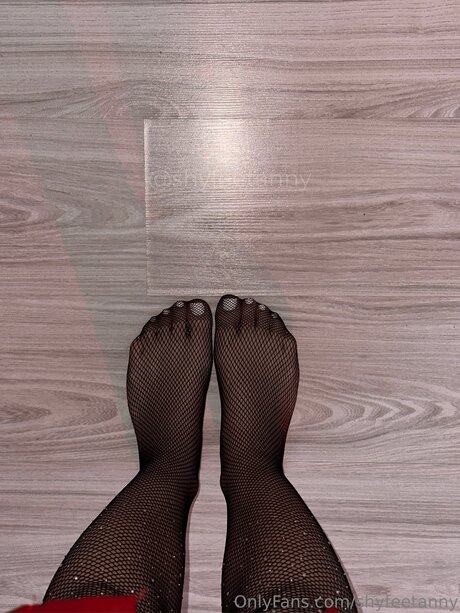 Shyfeetanny pornstar adult pictures