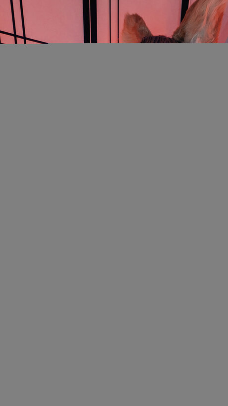 Ultimavip model hd photos