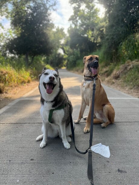 Donte011 pornstar hot photos