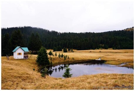 Mickey93 model naked image