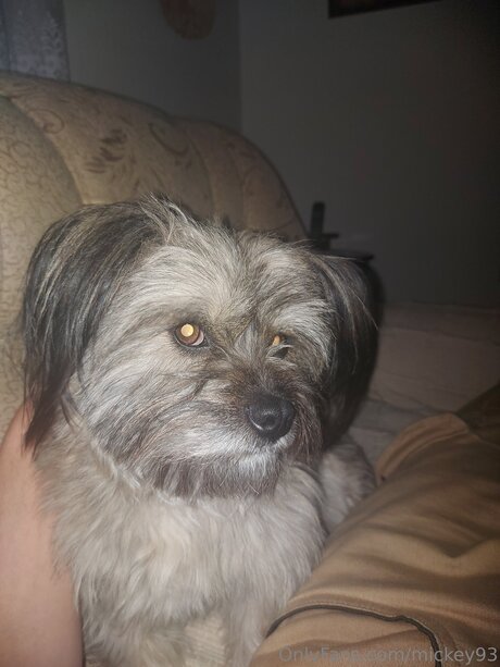 Mickey93 pornstar exclusive photo