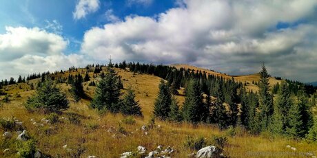 Mickey93 model perfect galleries