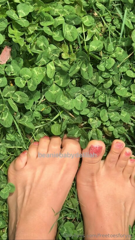 Freetoesforyou pornstar art pics