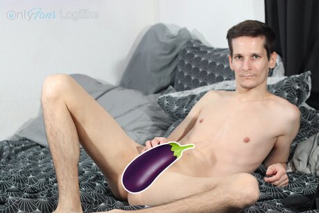 Logilikefree best model archive