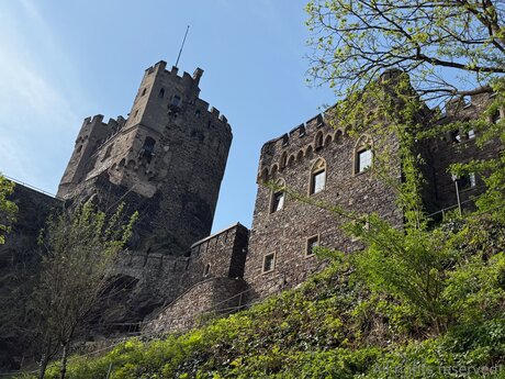 Travelsunshine model high quality image