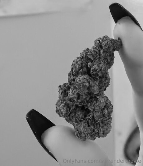 Surrendertoevie thumbnail