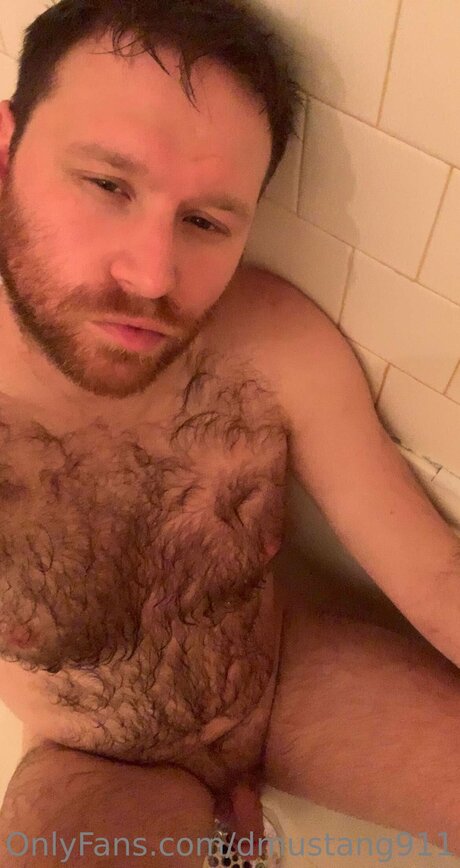 Dmustang911 high quality pornstar img