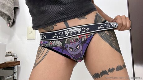 Salandersg model perfect images