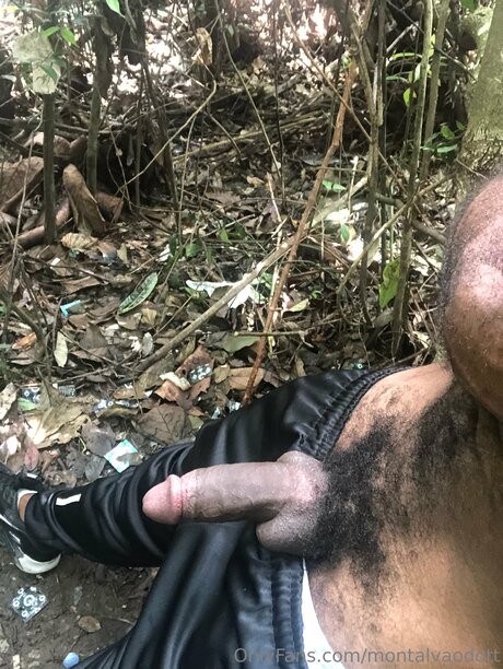 Montalvaodott erotic pornstar galleries