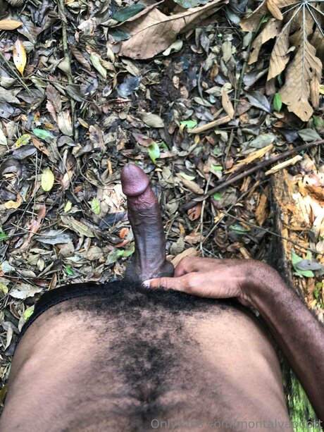 Montalvaodott adult model image