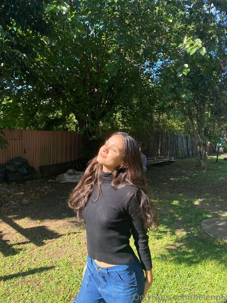 Belenp6 star art image