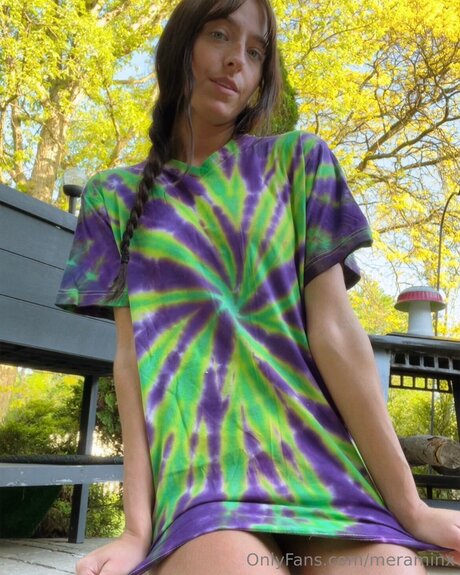 Meraminx top model image