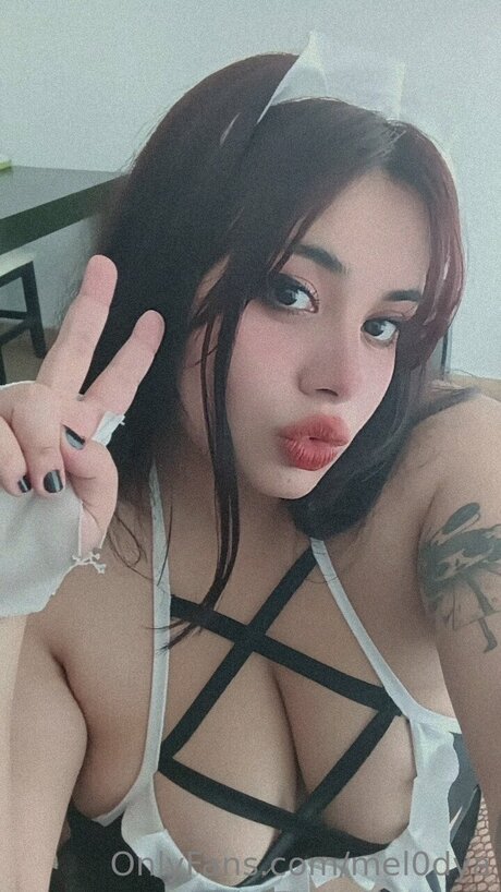 Mel0dya model art pic