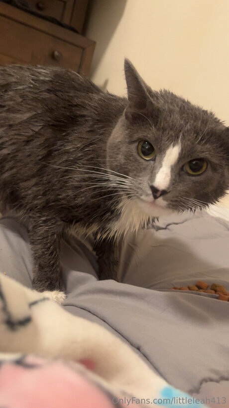 Littleleah413 pornographic actress picture