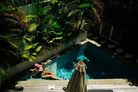 Charlieschest free star photos