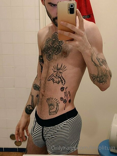 Insolitum model best archive