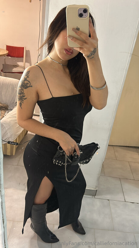 Callieforniacation pornstar nudes galleries