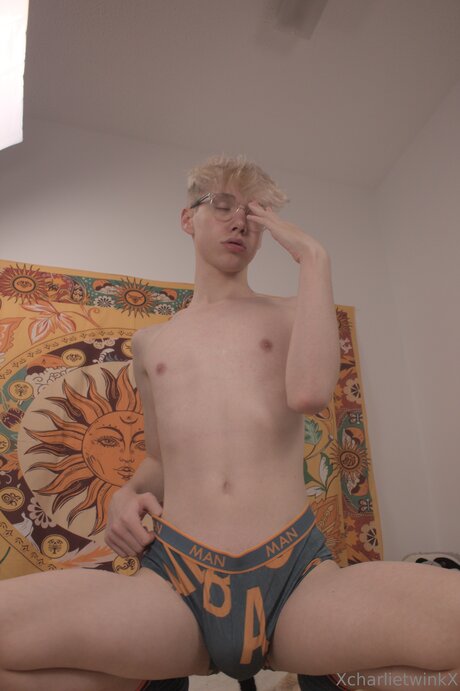 Xcharlietwinkx star art archive