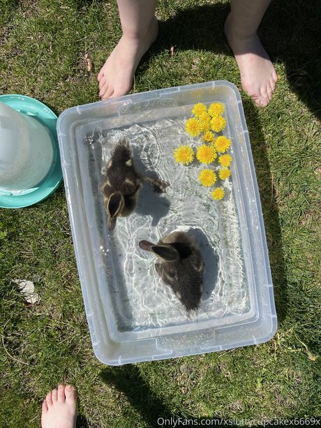 Xsluttycupcakex6669x model hot photo