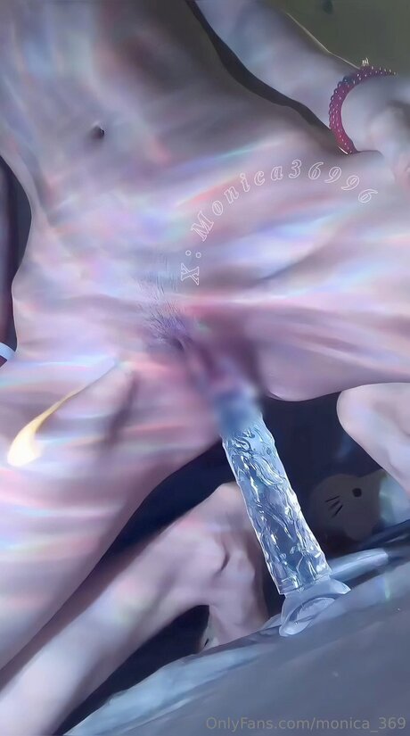 Monica 369 star art galleries