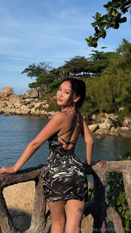 Liapetite high quality model pics