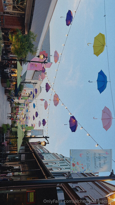 Alchemicalreaction free model img