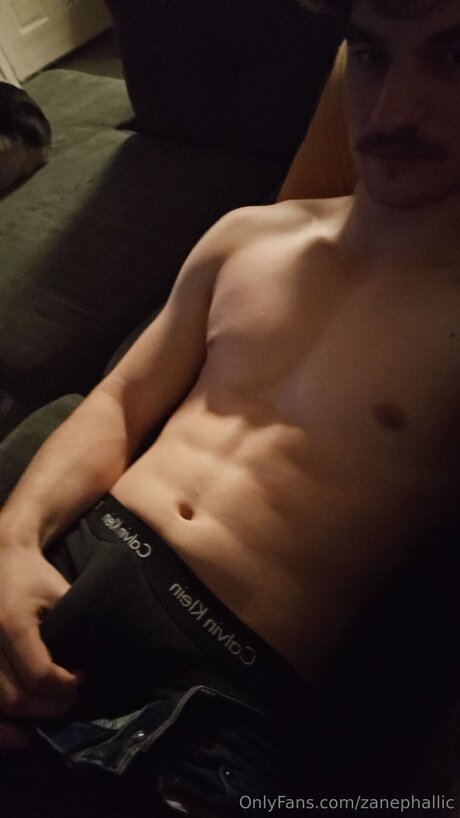 Zanephallic star high quality images