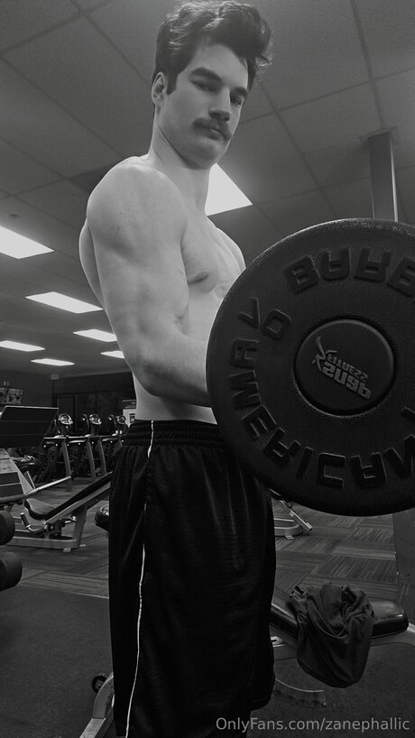 Zanephallic art actress gallery