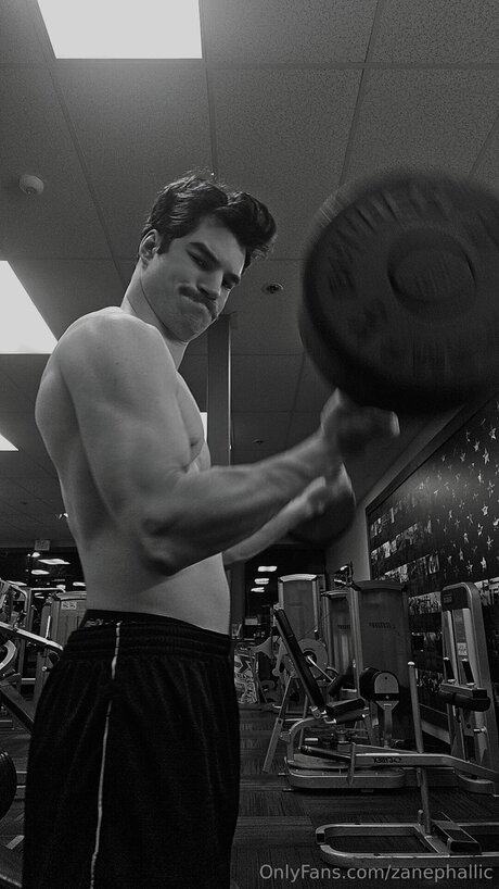 Zanephallic erotic pornstar picture