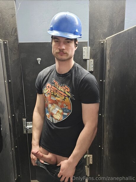 Zanephallic star free galleries