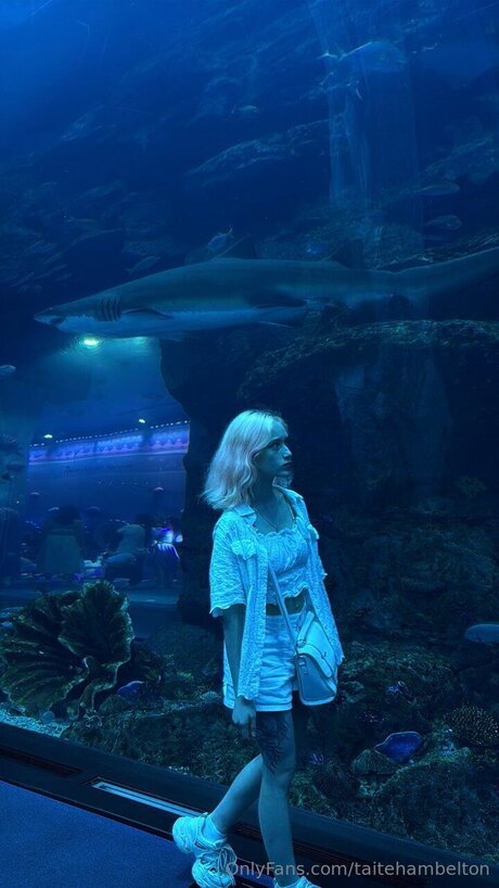 Taitehambelton free model photos