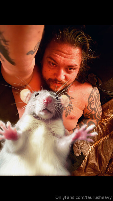 Taurusheavy pornographic star picture