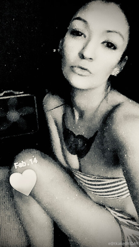 Eatkake model high quality image