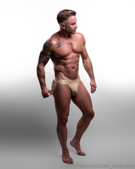 Zak Anderson pornographic actress picture