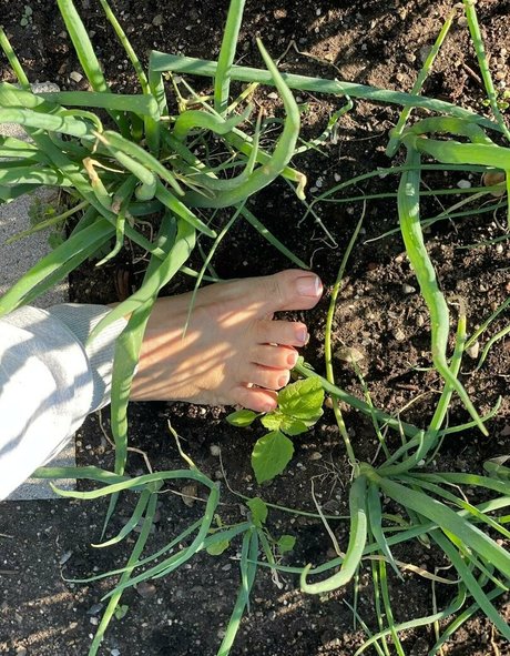 sunnymei naked pornstar image