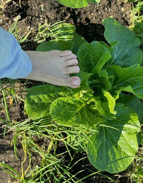 sunnymei art model galleries