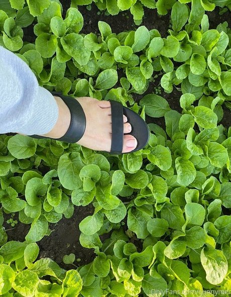 sunnymei naked star img