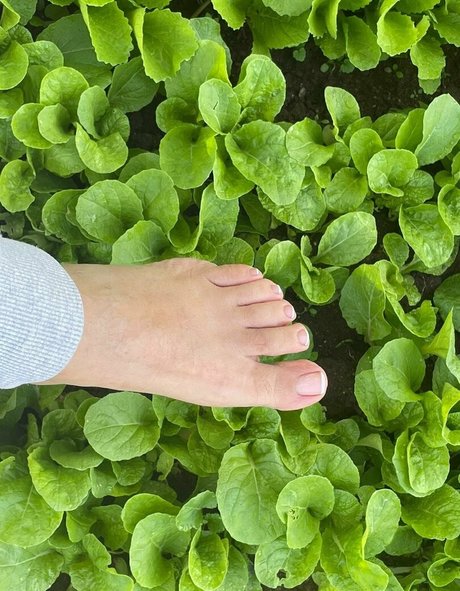 sunnymei star nude galleries