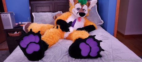 thepineapplefox star sex galleries