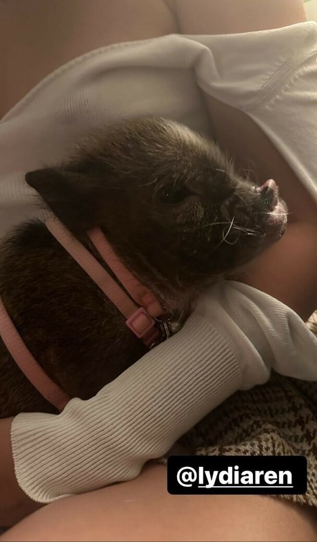 Lydiaren naked actress pic