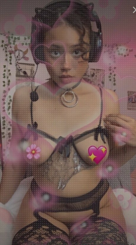 Hellazebra star high quality photos